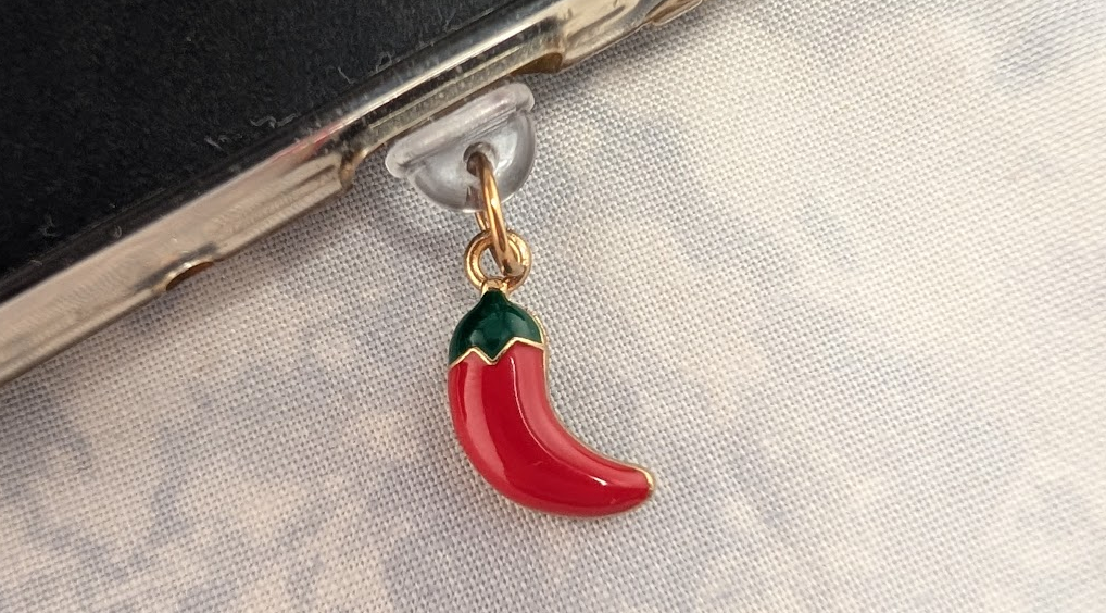 eReader Charms