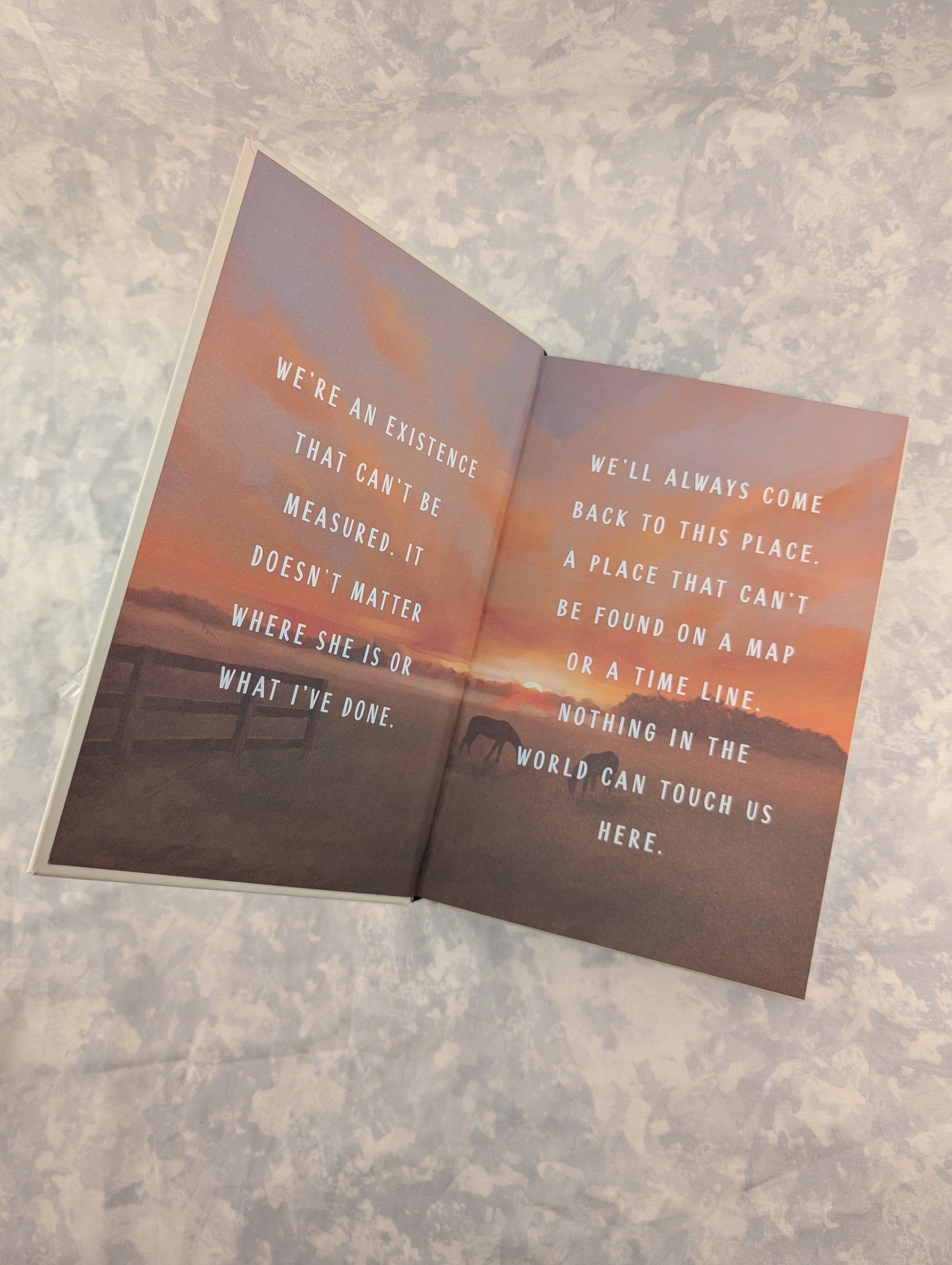 The illustrated endpapers for Knotted by Pam Godwin on a mottled light gray surface, showing a sunset landscape on the pages with white text.